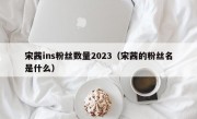 宋茜ins粉丝数量2023（宋茜的粉丝名是什么）