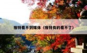 推特看不到媒体（推特有的看不了）