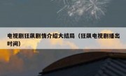电视剧狂飙剧情介绍大结局（狂飙电视剧播出时间）