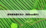 推特媒体图片放小（推特app图片）