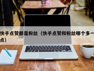 快手点赞都是粉丝（快手点赞和粉丝哪个多一点）