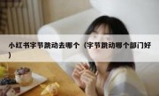 小红书字节跳动去哪个（字节跳动哪个部门好）