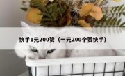 快手1元200赞（一元200个赞快手）
