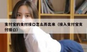 支付宝的支付接口怎么弄出来（接入支付宝支付接口）