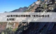 api支付接口对接教程（支付api接口怎么对接）
