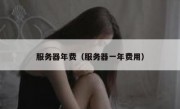 服务器年费（服务器一年费用）