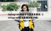 instagram发帖子只想密友看到（instagram密友能看到帖子吗）