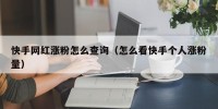 快手网红涨粉怎么查询（怎么看快手个人涨粉量）