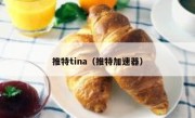 推特tina（推特加速器）