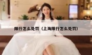 限行怎么处罚（上海限行怎么处罚）