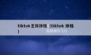 tiktok怎样挣钱（tiktok 挣钱）