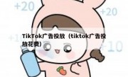 TikTok广告投放（tiktok广告投放花费）