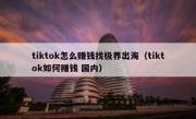 tiktok怎么赚钱找极界出海（tiktok如何赚钱 国内）