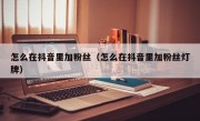 怎么在抖音里加粉丝（怎么在抖音里加粉丝灯牌）
