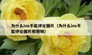 为什么ins不能评论图片（为什么ins不能评论图片和视频）