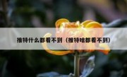 推特什么都看不到（推特啥都看不到）