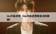 ins不能点赞（ins不能点赞和关注的原因）