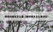 推特的推文怎么看（推特推文怎么看评论）
