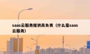 saas云服务提供高负责（什么是saas云服务）