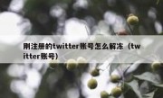 刚注册的twitter账号怎么解冻（twitter账号）