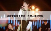 说说文案关于生活（日常小美好文案）