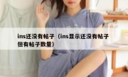 ins还没有帖子（ins显示还没有帖子 但有帖子数量）