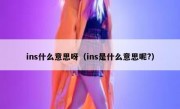 ins什么意思呀（ins是什么意思呢?）