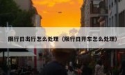 限行日出行怎么处理（限行日开车怎么处理）