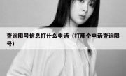 查询限号信息打什么电话（打那个电话查询限号）