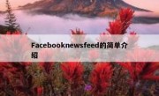 Facebooknewsfeed的简单介绍