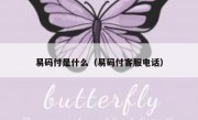 易码付是什么（易码付客服电话）