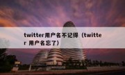 twitter用户名不记得（twitter 用户名忘了）