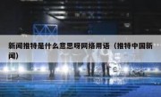 新闻推特是什么意思呀网络用语（推特中国新闻）