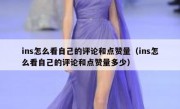 ins怎么看自己的评论和点赞量（ins怎么看自己的评论和点赞量多少）