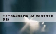 小红书是抖音旗下的嘛（小红书和抖音是什么关系）
