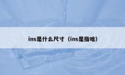 ins是什么尺寸（ins是指啥）