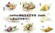 twitter网站怎么打不开（twitter怎么打不开了）