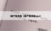 国产服务器（国产服务器cpu）