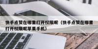 快手点赞在哪里打开权限呢（快手点赞在哪里打开权限呢苹果手机）