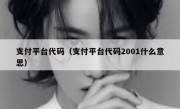 支付平台代码（支付平台代码2001什么意思）
