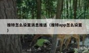 推特怎么设置消息推送（推特app怎么设置）