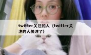 twitter关注的人（twitter关注的人关注了）