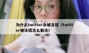 为什么twitter会被冻结（twitter被冻结怎么解冻）