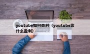 youtube如何盈利（youtube靠什么盈利）