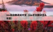 ins自动翻译成中文（ins中文翻译怎么设置）