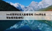 ins点赞评论主人能看见吗（ins评论点赞能看到是谁吗）