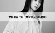 支付平台代码（支付平台代码查询）