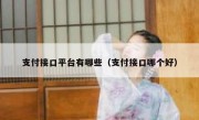 支付接口平台有哪些（支付接口哪个好）