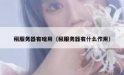 租服务器有啥用（租服务器有什么作用）