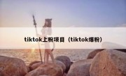 tiktok上粉项目（tiktok爆粉）